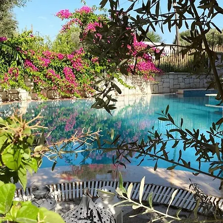 Hotel Ata Boutique