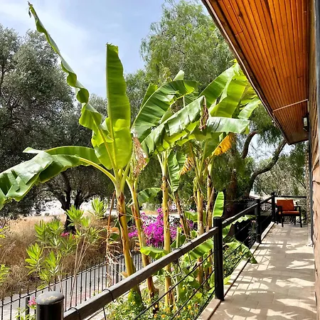 Ata Boutique Hotell 5*