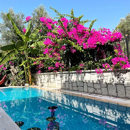 Ata Boutique 5* Altinyunus