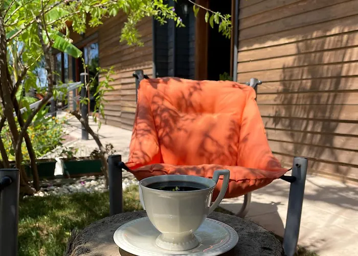 Hotel Ata Boutique Altinyunus