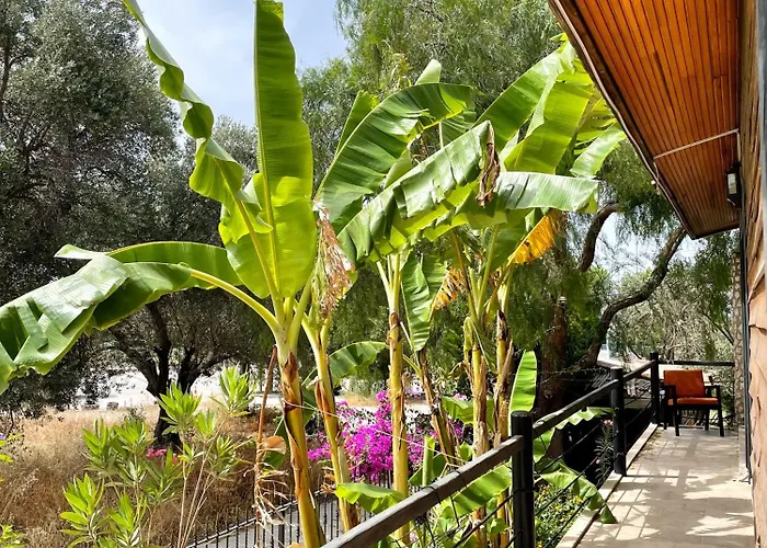 Ata Boutique Hotel 5*