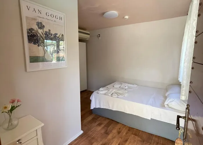 Ata Boutique Hotel Altinyunus